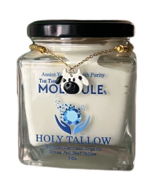 Holly Tallow