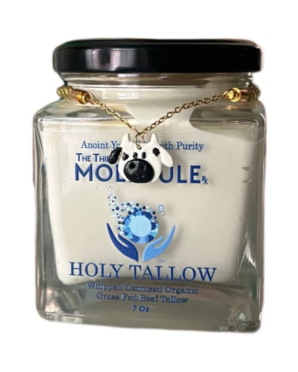Holly Tallow
